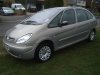 xsara_195.jpg