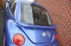 beetle3.jpg